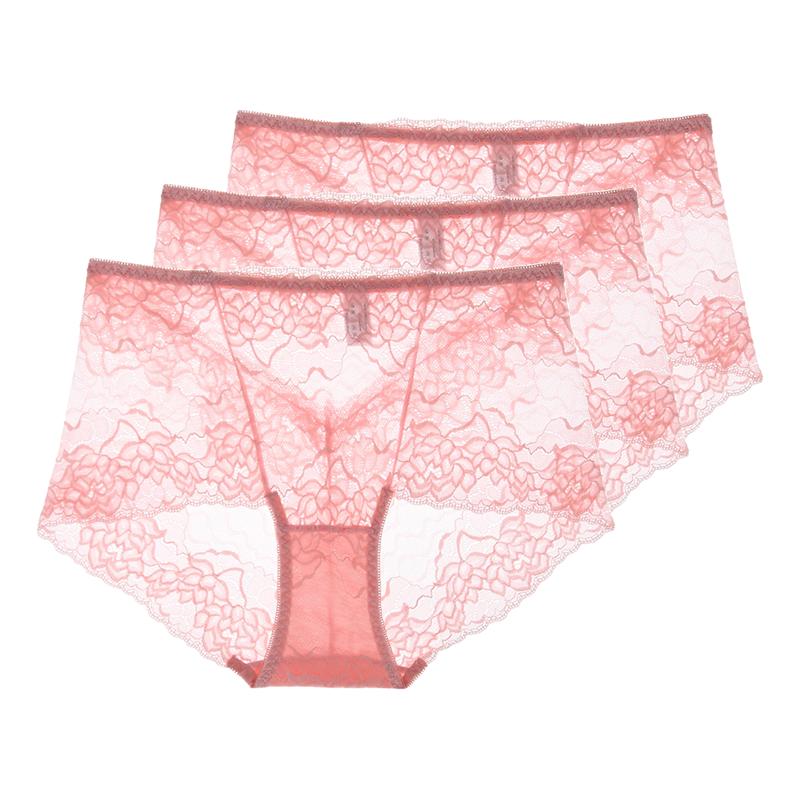 3 Pezzi Lingerie Sexy da Donna Vita Alta Slip in Pizzo Rete Trasparente Boyshorts Slip da Donna