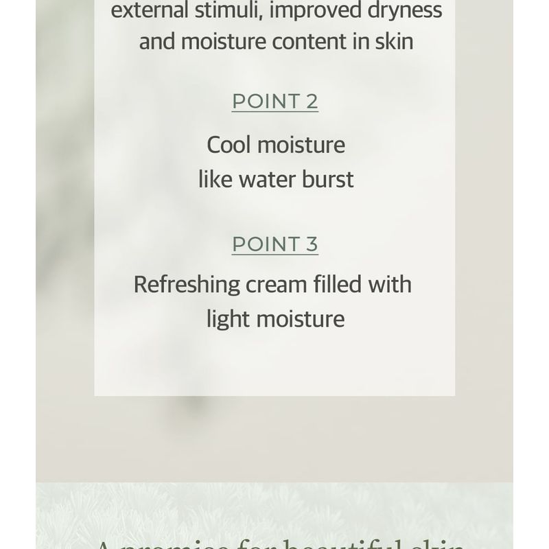 NEEDLY - Cicachid Relief Cream