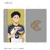 Haikyu!! Trading Plastic Visual Cards Box of 14