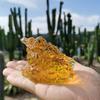 Feng Shui Kröte Geld Glück Glück Reichtum Chinesische Goldene Frosch Kröte Münze Haus Büro Dekoration Tischdekoration Glücksbringer Geschenke