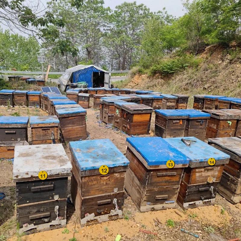 10/20/50/100Pcs Numbered Sign Labels Beehive Tags Garden Box Mark With Hole Plant Markers Bee Hive Mating Box Mark Garden Tools