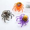 Exquisite Sweets Holder Spider Shape Snack Storage Props Trick or Treat Fruit Bowl  Party