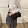 Vår ny nisch populär liten väska dammode enkel axelväska avslappnad trend messenger bag damväska