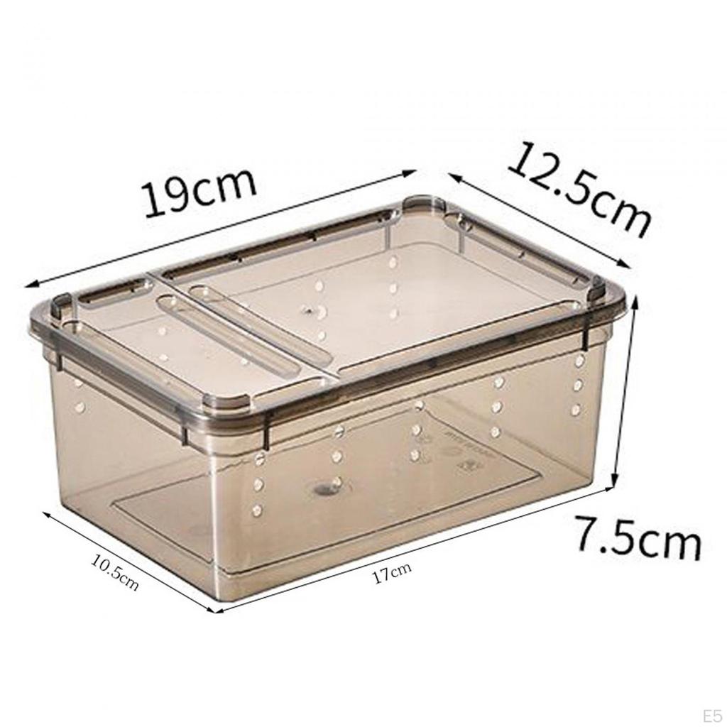 Clear Reptile Habitat Box for Hedgehogs and Silkworms
