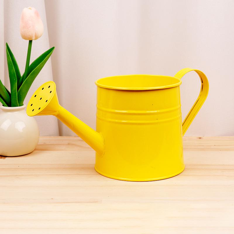 Creative Green Watering Can for Plants and Succulents - Decorative Spray Bottle for Gardening and Flower Arranging