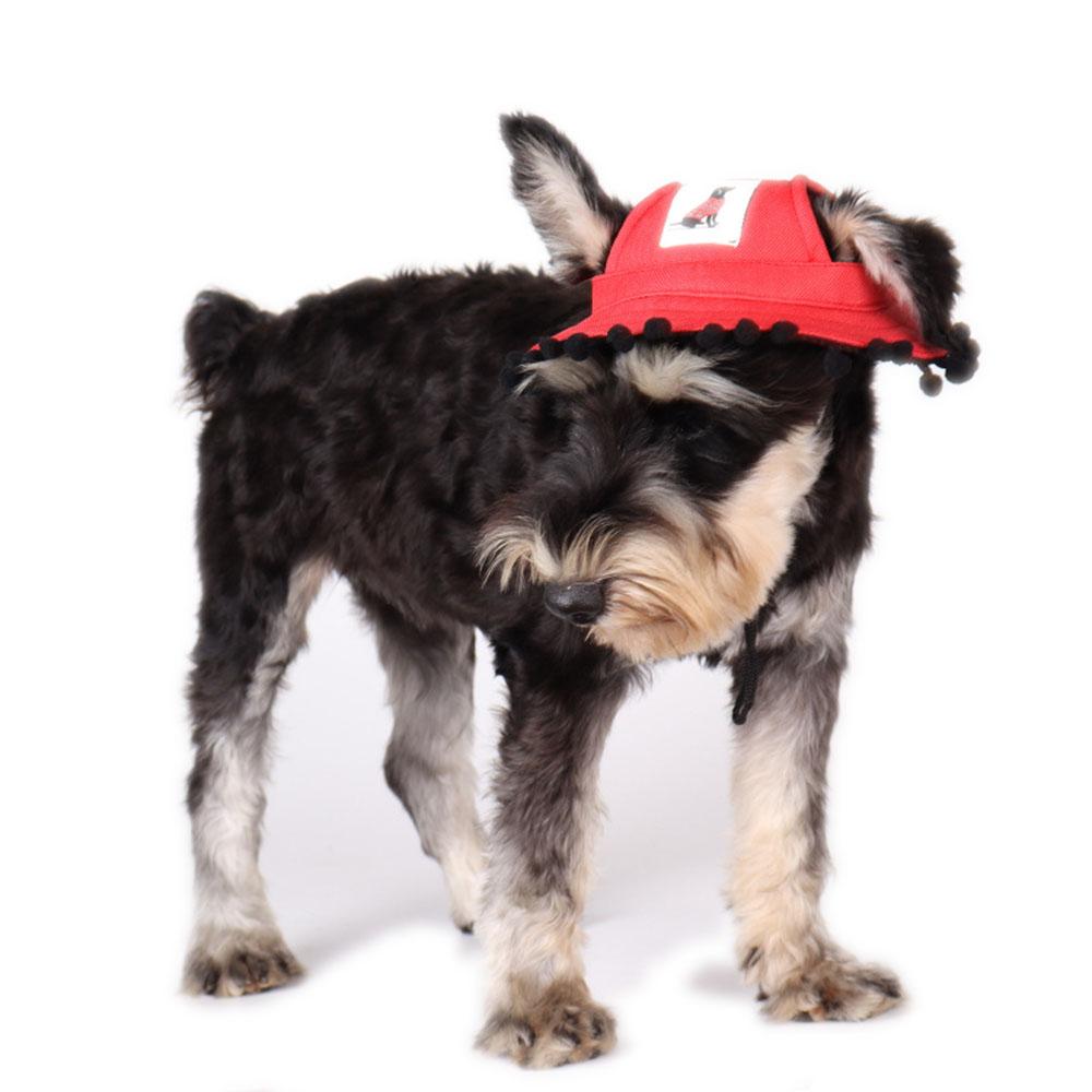 

New Summer Pet Dog Hat Cap Outdoor Dog Baseball Cap Canvas Round Brim Puppy Cap with Plush Balls Small Dog Sunscreen Accessories