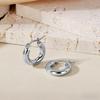 Temu Europe Hot-Selling Luxury Hoop Earrings: Non-Fading Women's Studs with High-End Feel.