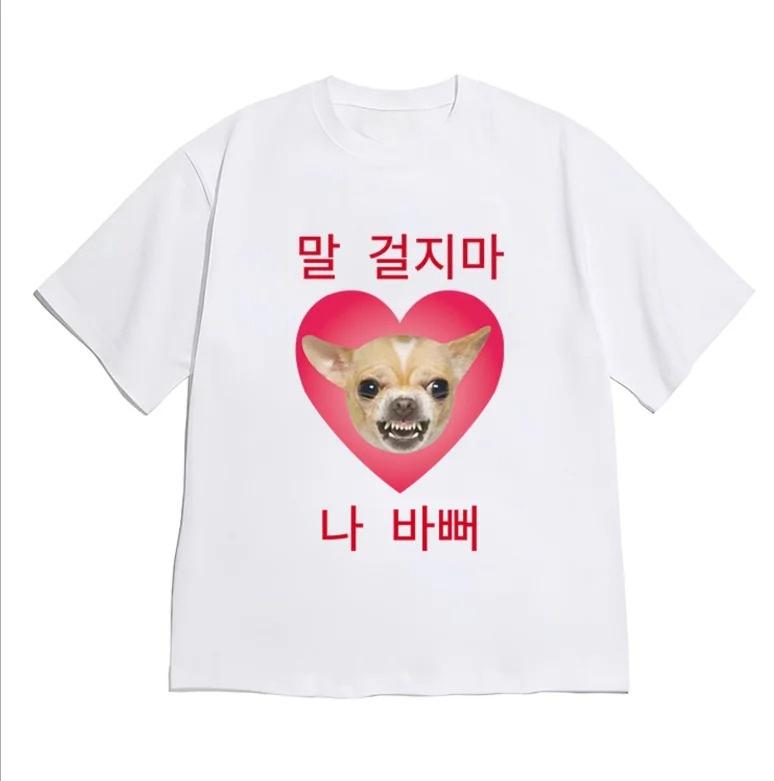 KoreanStyle Playful Cat Meme TShirtDont Talk To MeIm BusyGraphic Tee Casual ShortSleeve Top TrendyFun KoreanInspired Style