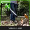 Souffleur à Batterie - Greenworks - G24ABIIK2 - 145 km/h - 24V - Compact et Léger