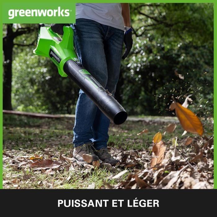 Souffleur à Batterie - Greenworks - G24ABIIK2 - 145 km/h - 24V - Compact et Léger