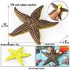 Marine Animal Simulation Models: Jellyfish, Octopus, Sea Shrimp, Sea Anemone, Squid, Horseshoe Crab, Crayfish, Arrowhead