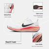 Nike Herren Laufschuhe Pegasus 41