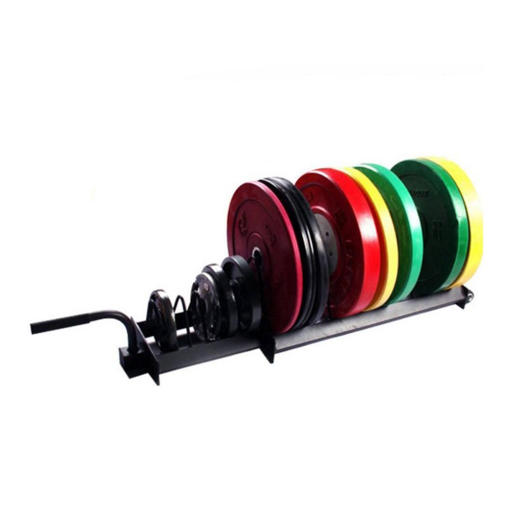Exercise Disc Storage Rack with Wheels Heavy-Duty Mobile for