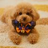 Lace Halloween Cat Collar Adjustable Cat Cosplay Bow Tie Dog Pumpkin Bow Collar  Festive