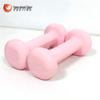Yueji Tiger Dipped Dumbbells Pair