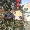 Breathable Sun Hat with Fan Strong Wind Summer Fan Visor Cap Fishing Bucket Hat  Outdoor Travel