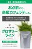 First Flush Tea X For Tea Matcha Powder 100g First Flush Tea from Kagoshima Prefecture Premium Quality Perfect for Cafe Lattes Powdered for Commercial