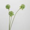 Real Touch Artificial Scabiosa Flower Elegant Fake Flower  Living Room Desktop