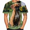 Funny T-Shirts Boxer Dog 3D Print Streetwear Men Women Fashion Oversized Short Sleeve O-Neck T Shirt Male Tees Tops Man Clothing