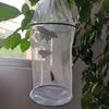 Butterfly Experiment Cage Handheld Easy Storage Folding Breathable Transparent Feeding Portable Observation Ventilated Butterfly Habitat House