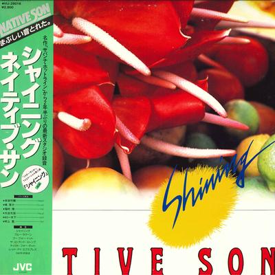 LP Record NATIVE SON - Shining VIJ28016 JVC 1982 Japan Obi Jazz Used