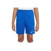 Dri-Fit Park 3 Comfortable Fashion Simple Versatile Solid Color Shorts Kids Shorts Blue BV6865-463