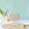 Beach Decor Statue Made of , Table Statue, Motif, Handmade Figurine, Ornament for