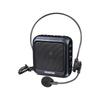 TAKSTAR E270 Portable Voice Amplifier