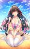 Deluxe Splendid Deployment Set PS4 Gintaro Original Illustration First Swimsuit Reveal Online Guaranteed Gacha Ticket Set Sengoku†Koihime ~Otome