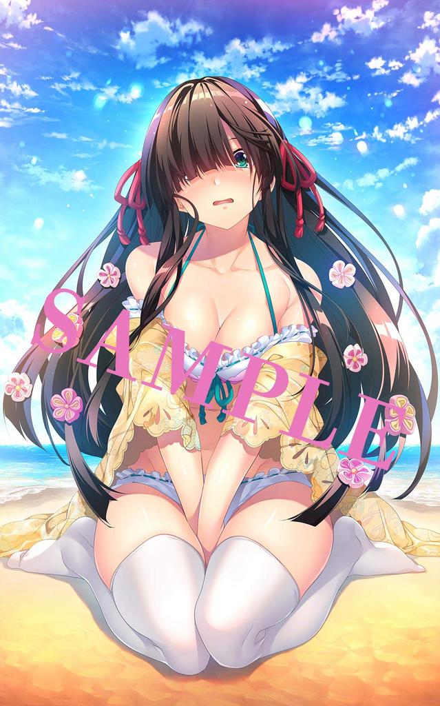 Deluxe Splendid Deployment Set PS4 Gintaro Original Illustration First Swimsuit Reveal Online Guaranteed Gacha Ticket Set Sengoku†Koihime ~Otome