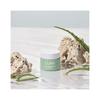 Cure Realoe Signature Cream 4ea