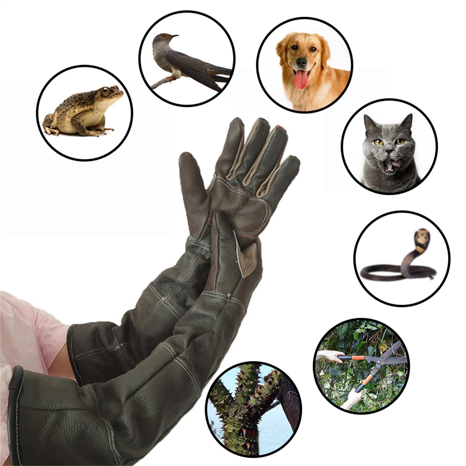 Newest Pet Handling Strengthened Leather Anti Bite Protective Gloves Dog Bathing Grooming Training Feeding Safety Work Gloves