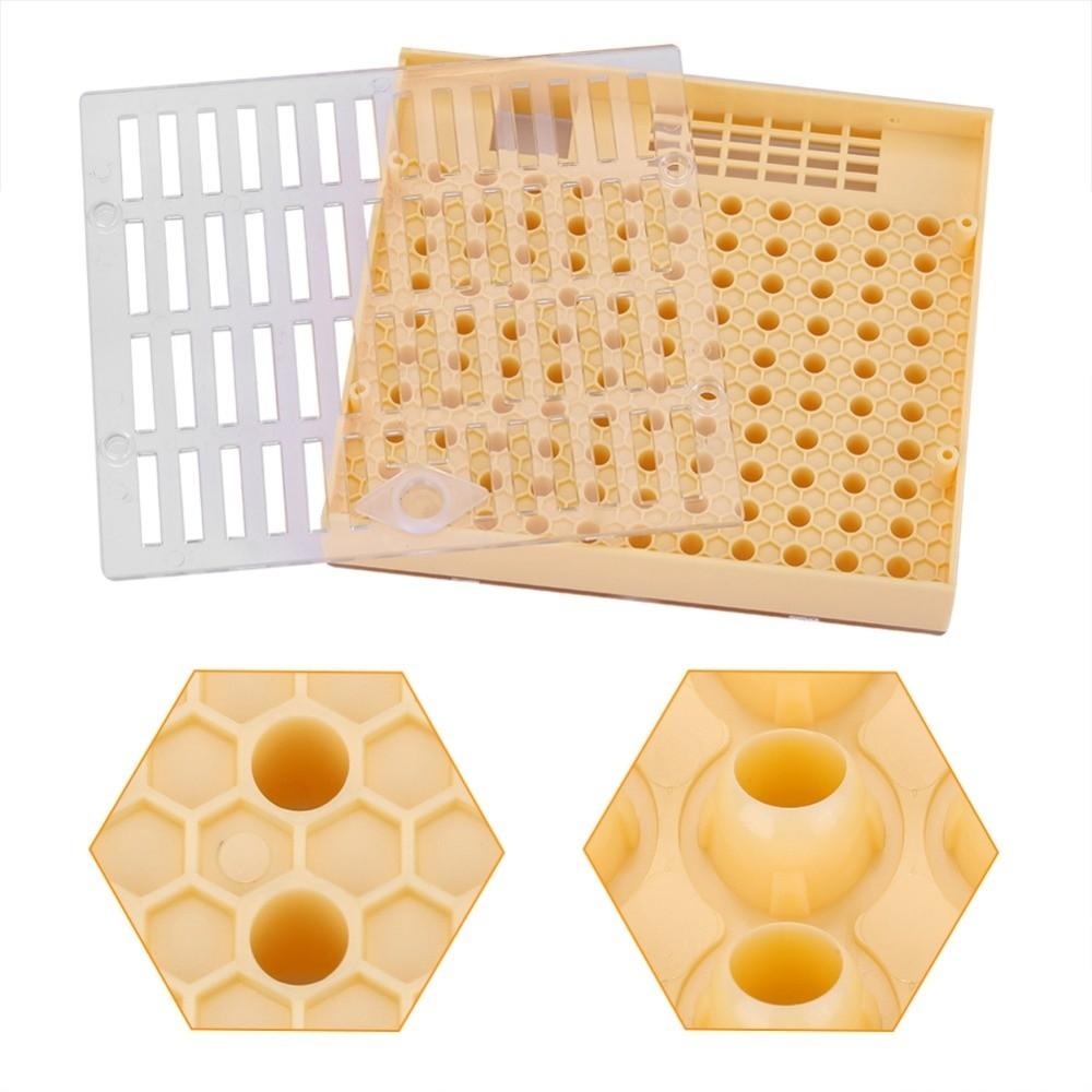 Plastik Königinnenaufzucht-Set Langlebige Königinnenaufzuchtbox Königinnenkäfig Bienenbrüter