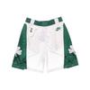 Nike NBA 75th Anniversary SW Fan Edition Boston Celtics Colorblock Sports Straight Loose-Fit Breathable Basketball Shorts Men Bottoms White DD1592-100