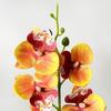 Pink Simulated Flower Butterfly Orchid Potted 5 Heads Artificial Faux Plants  Home Decor