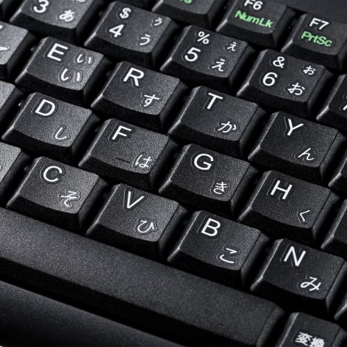 Sanwa Supply Mini & Slim USB Keyboard Pantograph No Numeric Keypad Black SKB-SL28BK