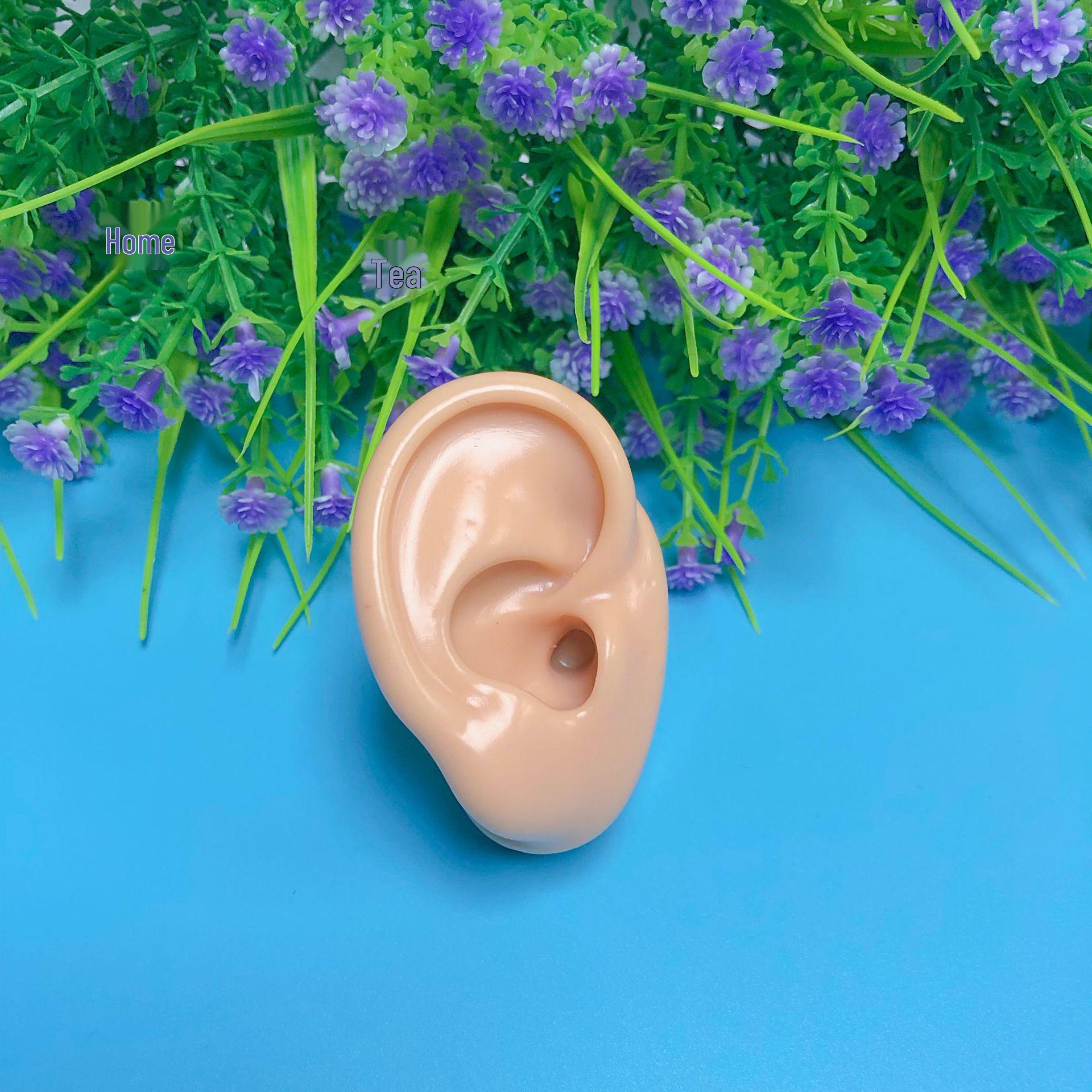 

Silicone Ear Model: Earwax Removal, Hearing Aid Display & Medical Teaching Tool. 6*4 CM (Medium)