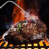 Barbecue Temperature Pins Temperature Needle Barbecue Accessories Kitchen Thermometer Thermometers for Cooking
