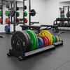 Exercise Disc Storage Rack with Wheels Heavy-Duty Mobile for