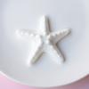 1 Set Perforatore a Conchiglia Marina Charms per Scarpe Fai da Te Oceano Pietra Lavica & Stelle Marine Clip per Scarpe per Decorazioni Sandali & Pantofole Estivi