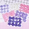 12Pcs Flowers Decoration High Imitation Bright Color Dried Flowers Dried Pressed Flowers for Nail Sticker Floral Decors