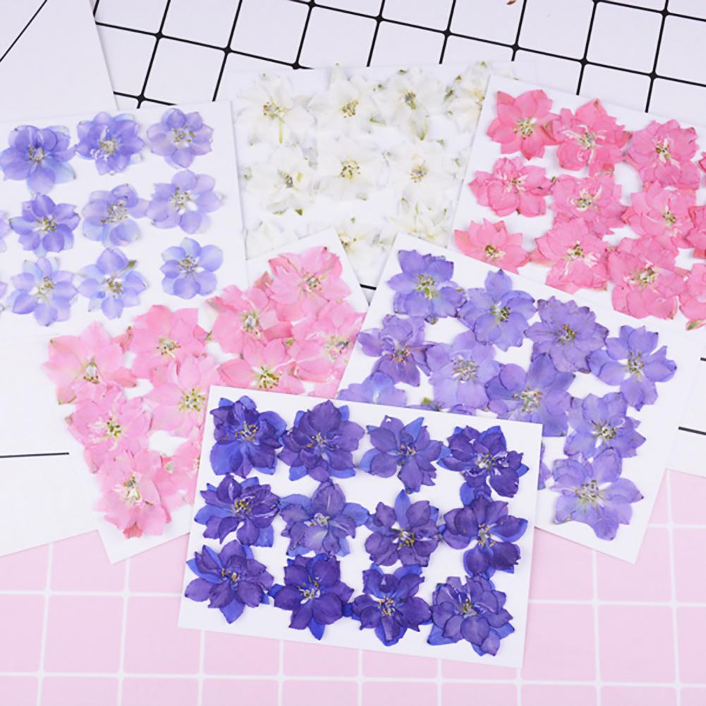 12Pcs Flowers Decoration High Imitation Bright Color Dried Flowers Dried Pressed Flowers for Nail Sticker Floral Decors