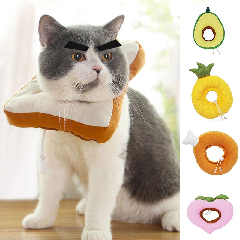 neck collar cat