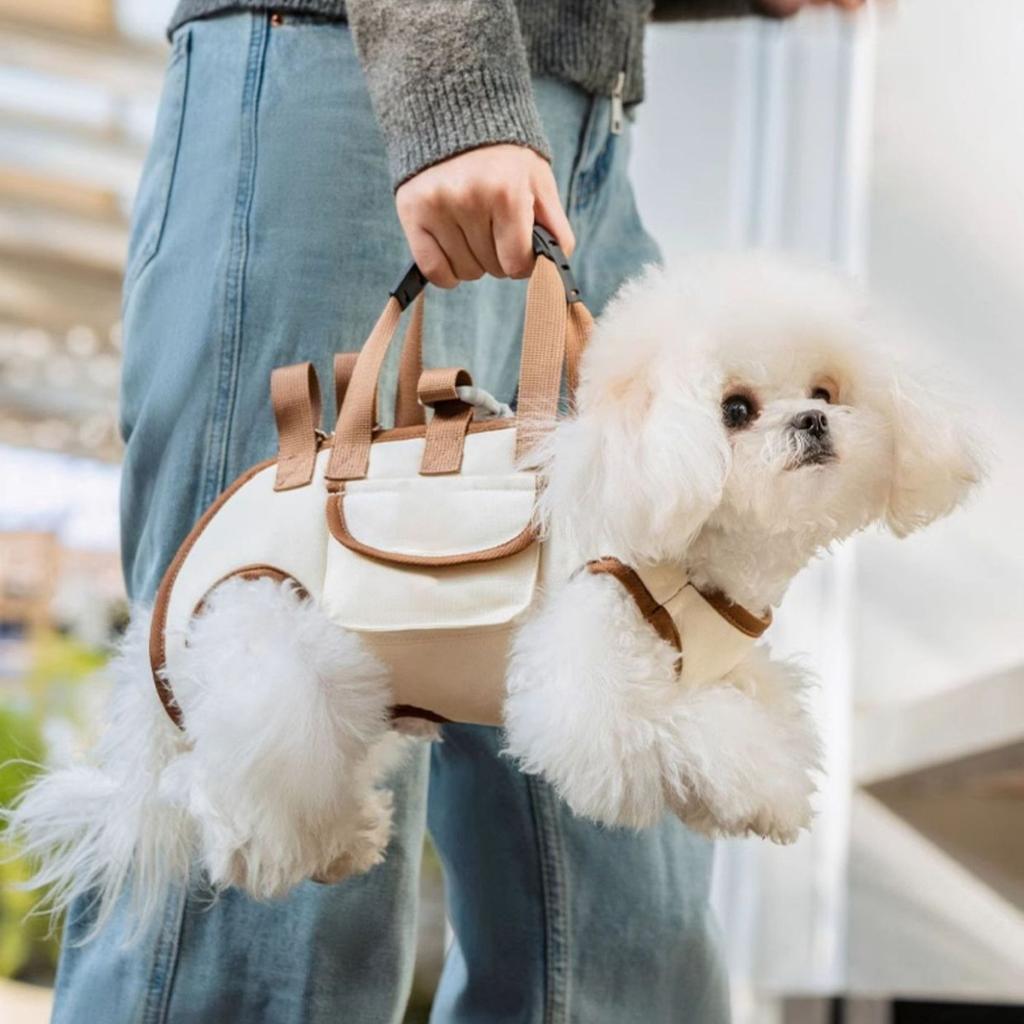 Haustier Hund Katze Reisetasche Handtasche Schleppleine