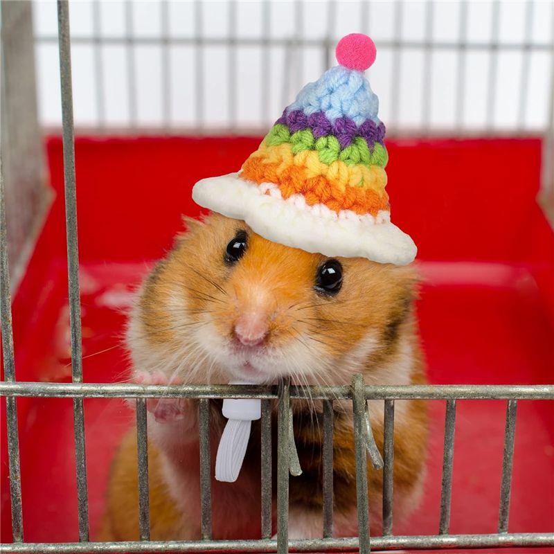 AEE2-4 Pieces Hamster Hat Mini Small Animals Hat With Adjustable Strap Lovely Hand Knitted Frog Rainbow Carrot Tiny Hats