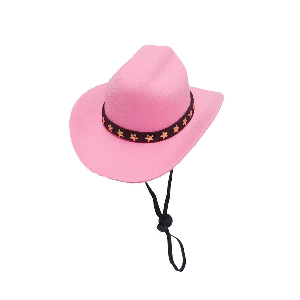 Denim Cowboy Hat with Star for Cats & Small Dogs