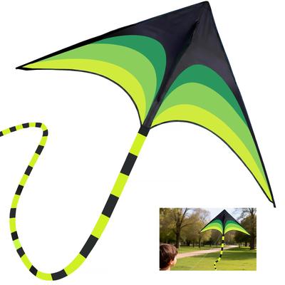 Cerf-volant Chisafly, Cerf-volant Triangulaire avec Queue de 5m de Longueur et Ligne de Cerf-volant de 100m, Idéal pour les Enfants, Assemblage Facile et Débutants, Parfait pour les Jeux d'Extérieur au Printemps à