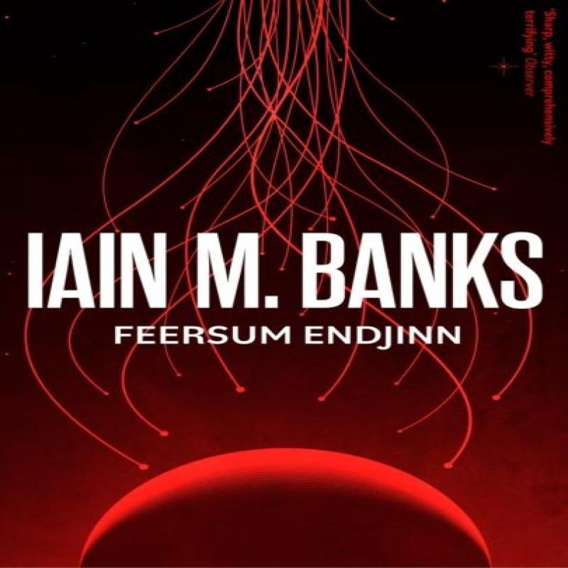 Feersum Endjinn by Iain M. Banks Paperback Book 9780356521749