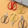 Stainless Steel Alloy Groove Pointed Nail Scissors for Manicure and Toenails