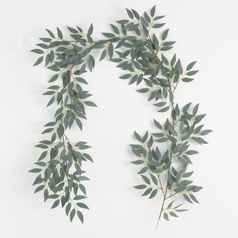 Leaf Foliage Eucalyptus For Wedding Backgrounds Outdoor Decoration Photography